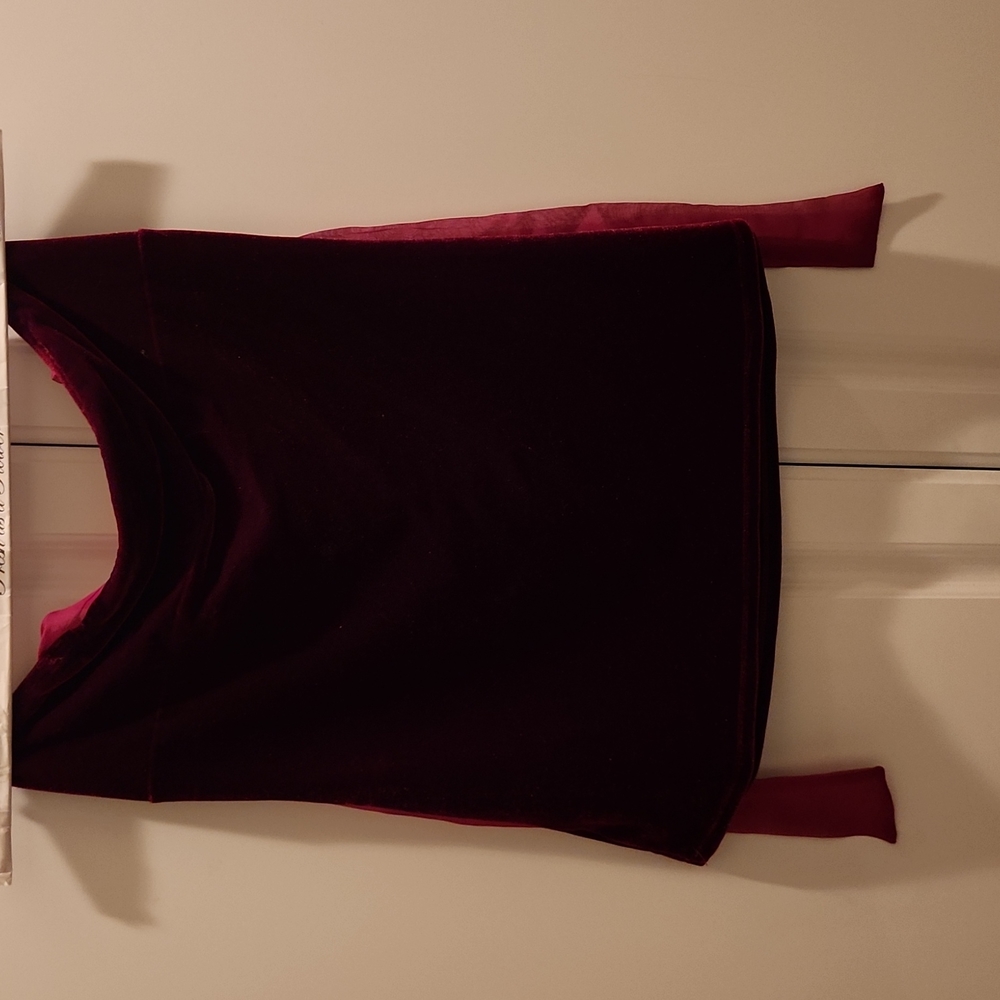 Sweetees velvet top size m
